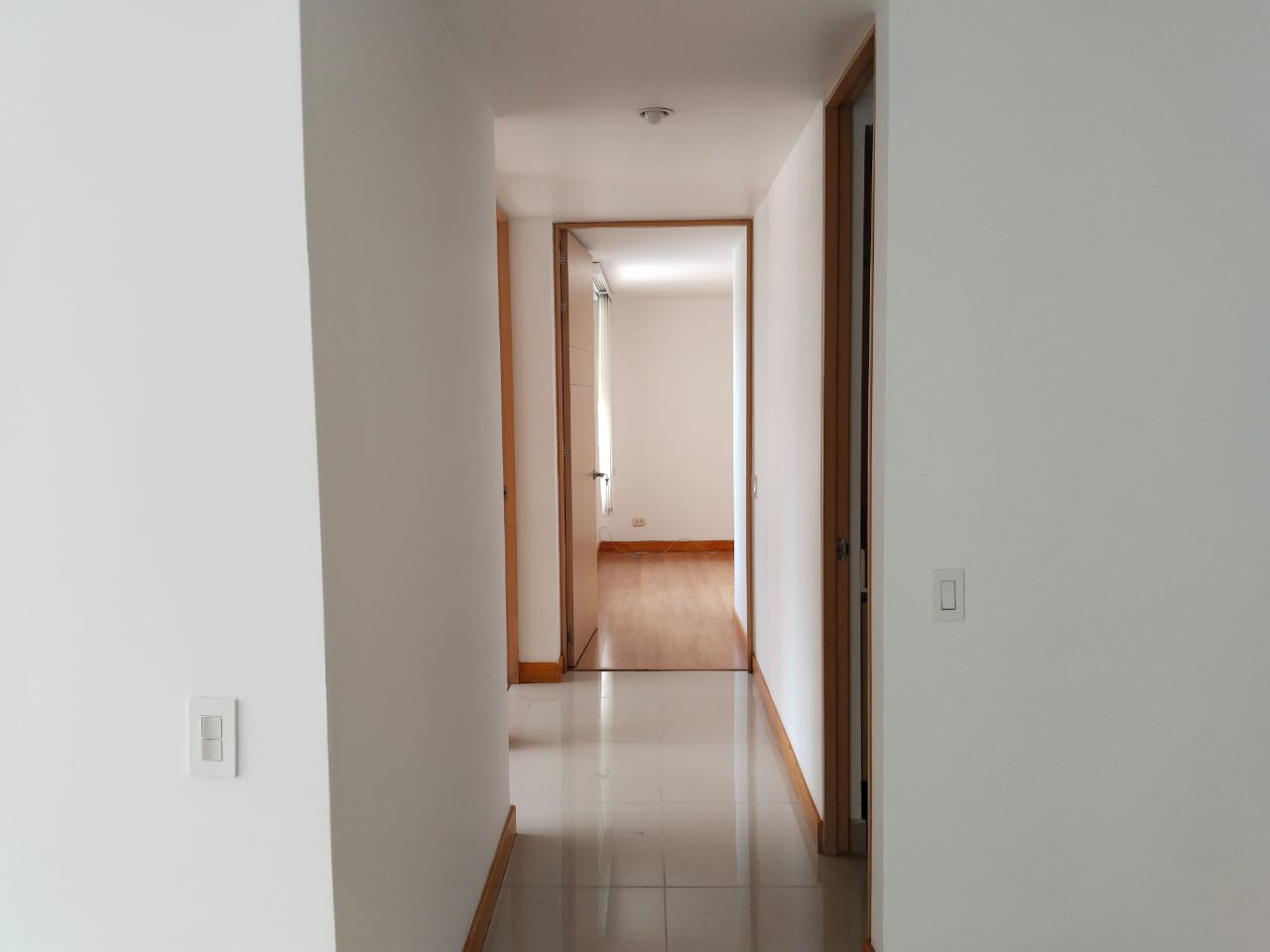 Imagen 7