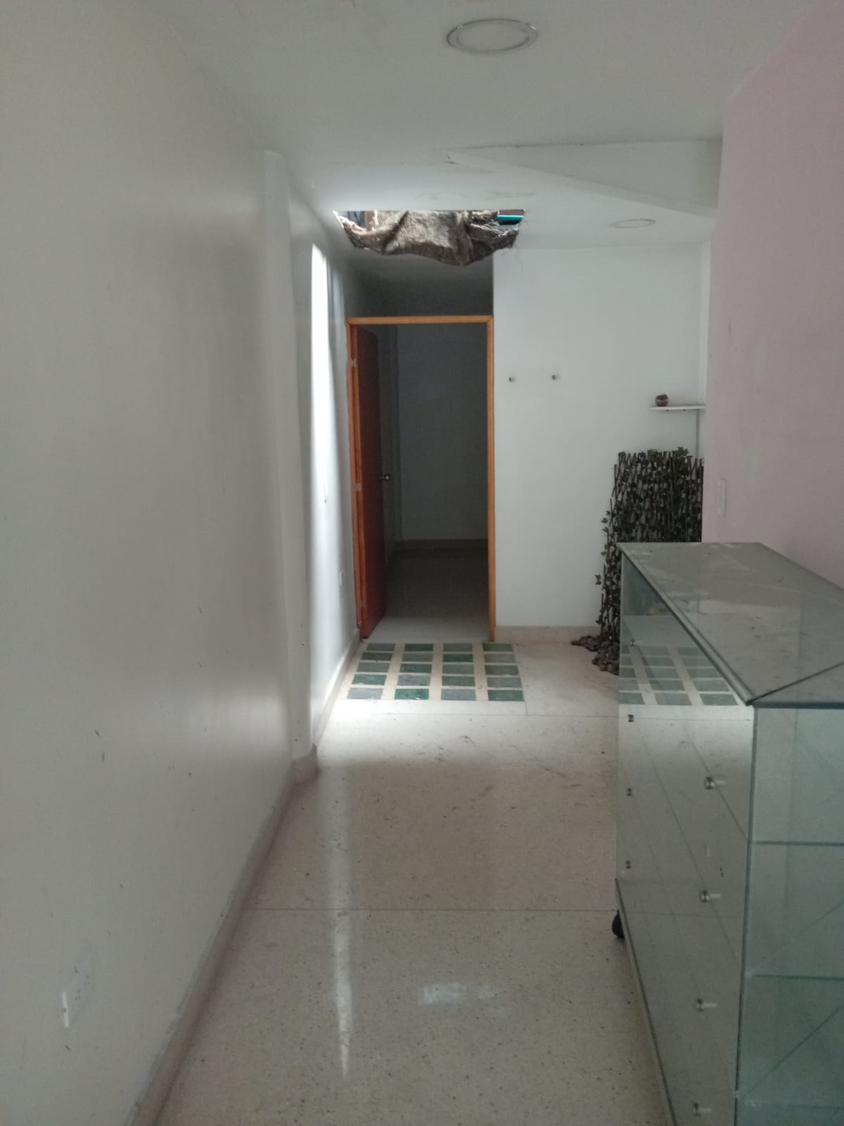 Imagen 9