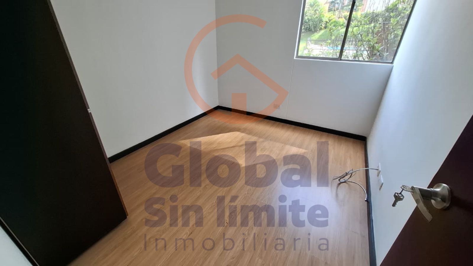Imagen 5